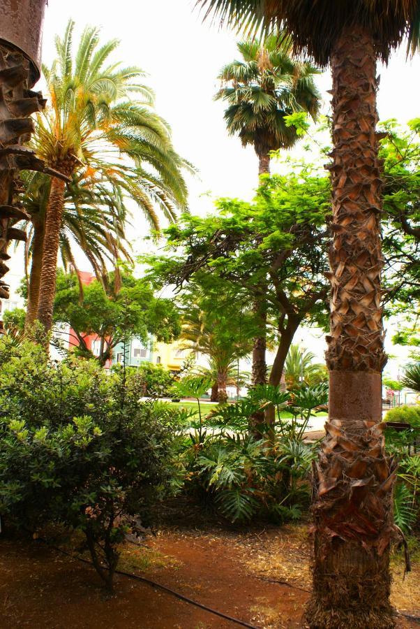 Doranda Rooms Las Canteras Λας Πάλμας ντε Γκραν Κανάρια Εξωτερικό φωτογραφία